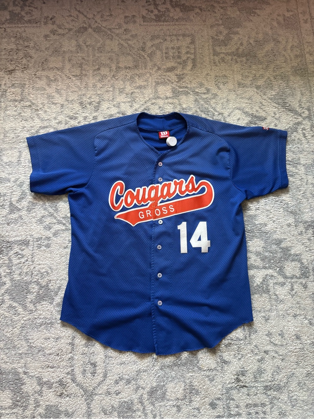 Vintage Y2K Cougars Gross Blue Baseball Jersey blue/white #14 Men’s Large